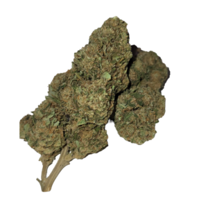 White Melon