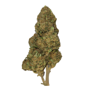 White Melon