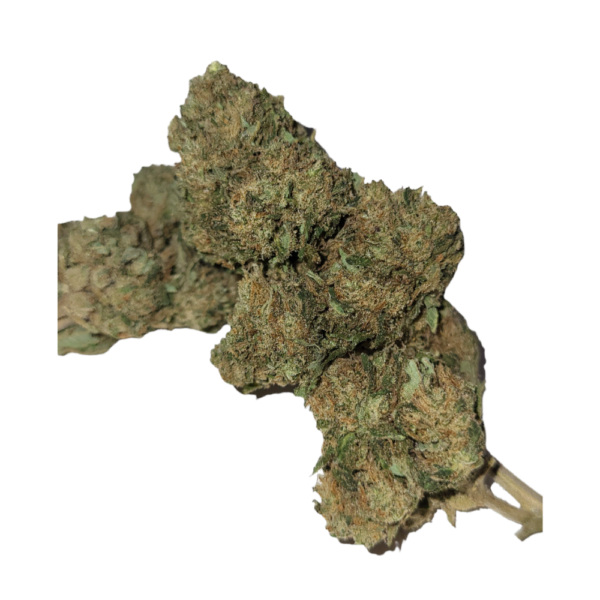 White Melon – Image 3