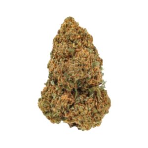 Gorilla Glue