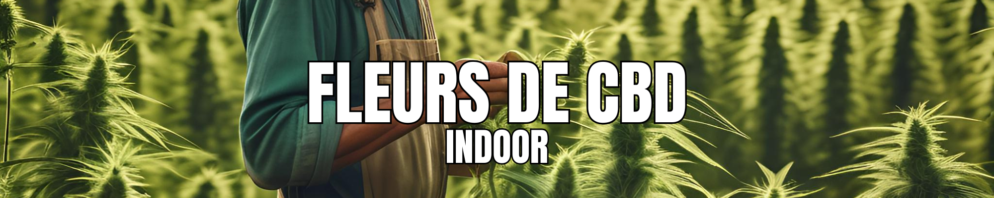Indoor