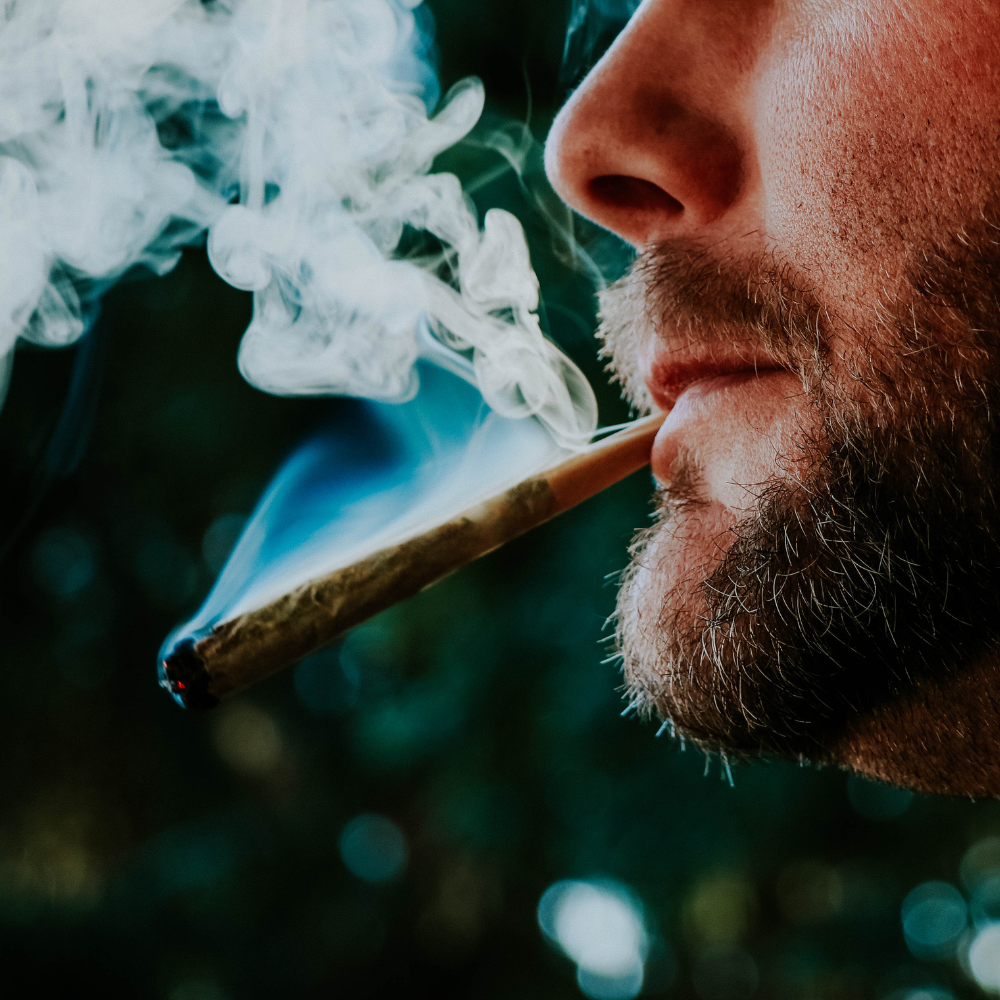 You are currently viewing Le CBD au Volant : Risques, Droits, Obligations et Défenses