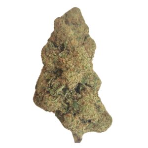 Apple Fritter